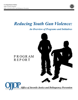 Reducing Youth Gun Violence: an Overview of Programs and Initiatives