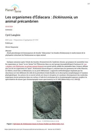 Les Organismes D'édiacara : Dickinsonia, Un Animal Précambrien