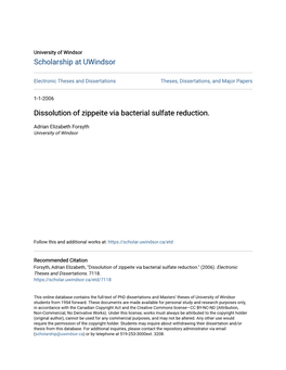 Dissolution of Zippeite Via Bacterial Sulfate Reduction