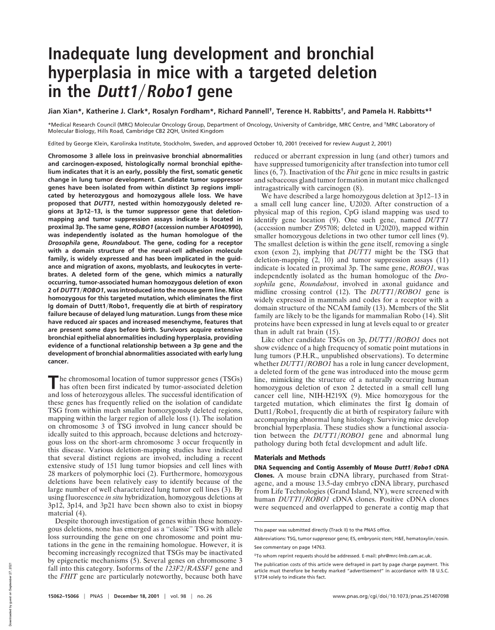 Inadequate Lung Development and Bronchial Hyperplasia in Mice with a Targeted Deletion in the Dutt1͞robo1 Gene