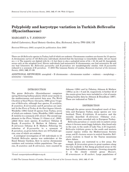 Polyploidy and Karyotype Variation in Turkish Bellevalia (Hyacinthaceae)