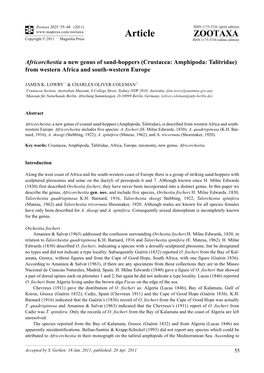 Africorchestia a New Genus of Sand-Hoppers (Crustacea: Amphipoda: Talitridae) from Western Africa and South-Western Europe