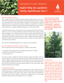 INVASIVE PLANT PROFILE English Holly Ilex Aquifolium N E Family: Aquifoliaceae Zone 7 E R G R E V E