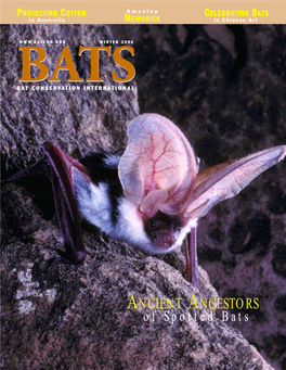 ANCIENT ANCESTORS of Spotted Bats BATS Volume 22, No