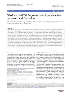 OPA1 and MICOS Regulate Mitochondrial Crista Dynamics And