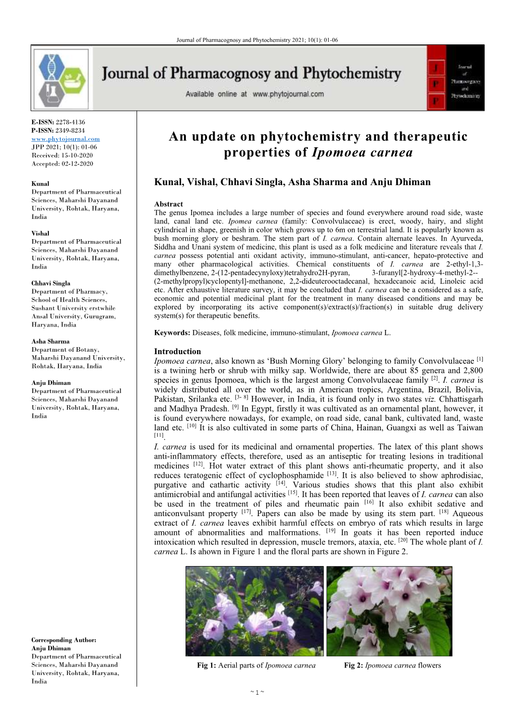 An Update on Phytochemistry and Therapeutic Properties of Ipomoea