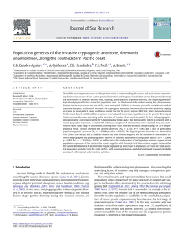 Population Genetics of the Invasive Cryptogenic Anemone, Anemonia Alicemartinae, Along the Southeastern Paciﬁc Coast