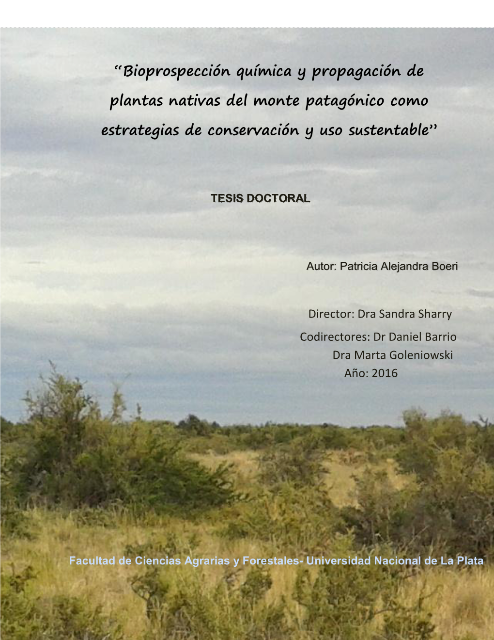 Bioprospección Química Y Propagación De Plantas Nativas Del Monte Patagónico Como Estrategias De Conservación Y Uso Sust
