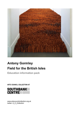 Antony Gormley Field for the British Isles Education Information Pack