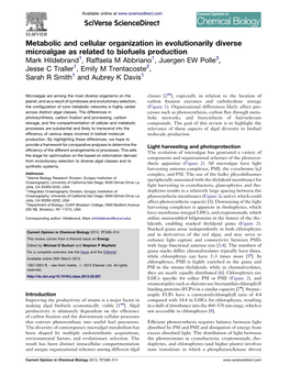 Metabolic and Cellular Organization in Evolutionarily Diverse Microalgae As Related to Biofuels Production Hildebrand Et Al