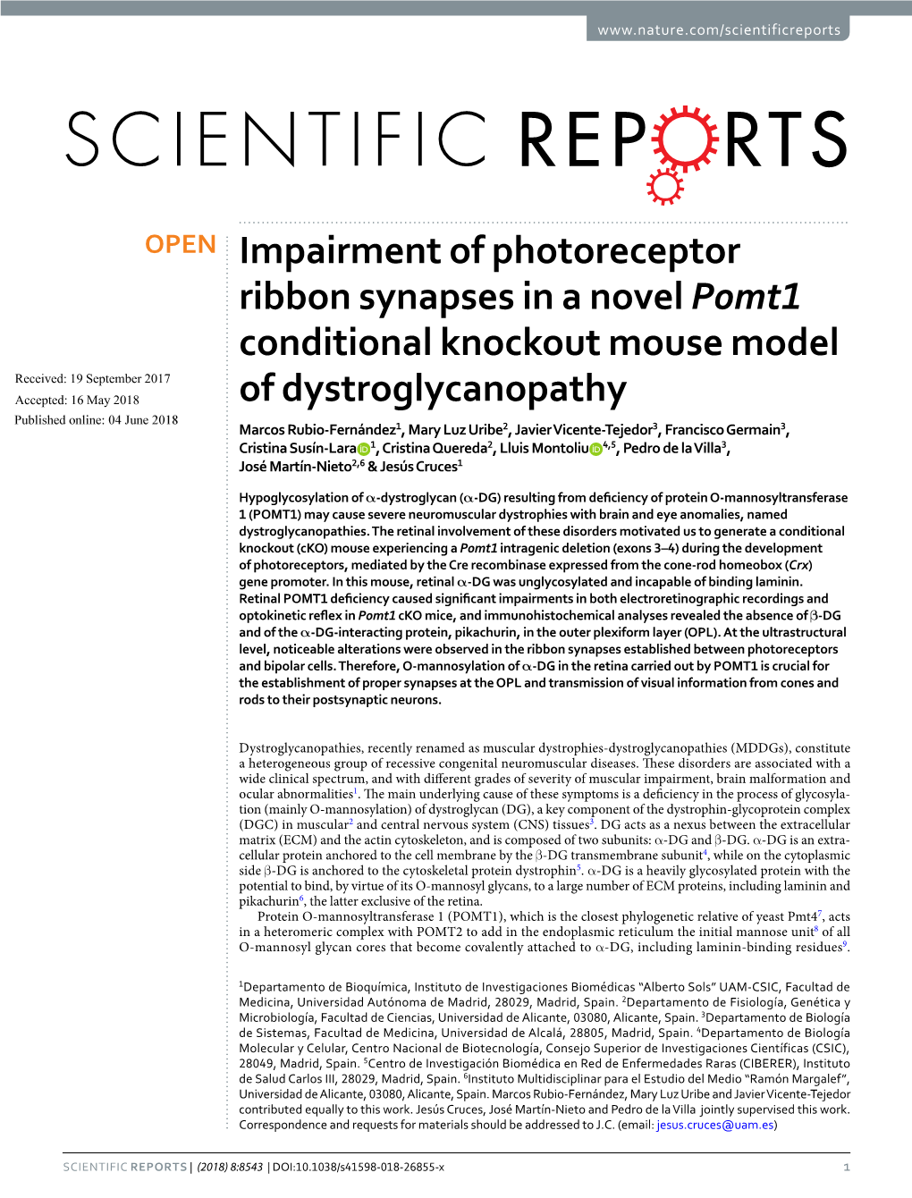 Impairment of Photoreceptor Ribbon Synapses in a Novel Pomt1