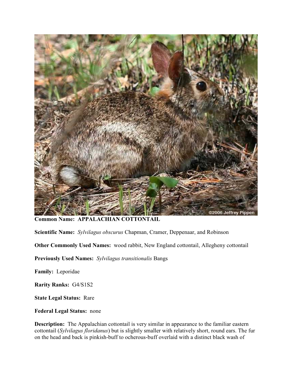 Common Name: APPALACHIAN COTTONTAIL Scientific Name: Sylvilagus Obscurus Chapman, Cramer, Deppenaar, and Robinson Other Commonl