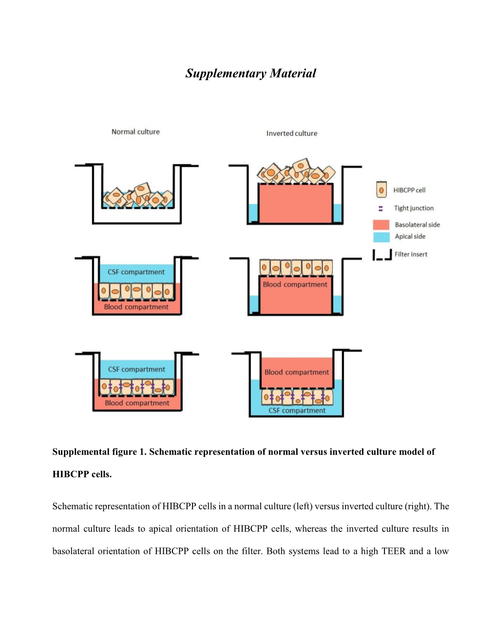 Supplementary Material