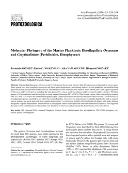 Molecular Phylogeny of the Marine Planktonic Dinoflagellate Oxytoxum and Corythodinium (Peridiniales, Dinophyceae)