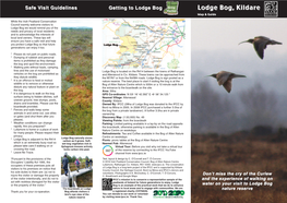 Lodge Bog, Kildare Map & Guide