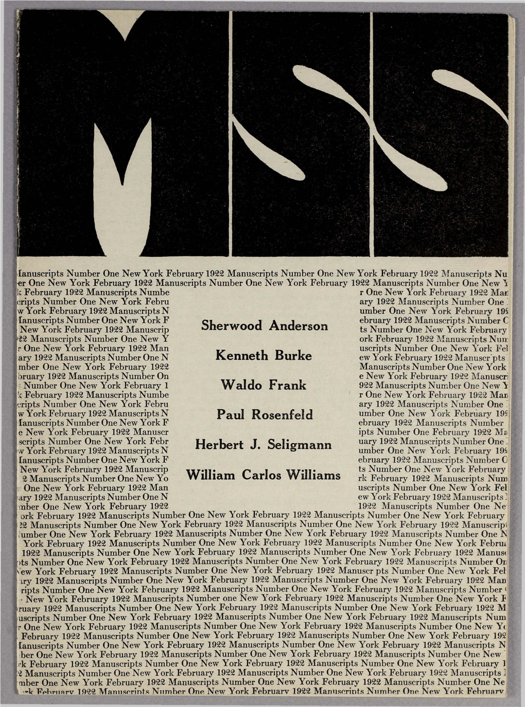 Sherwood Anderson Kenneth Burke Waldo Frank Paul Rosenfeld Herbert J. Seligmann William Carlos Williams