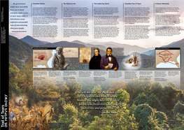 National Park Service Trail of Tears Brochure
