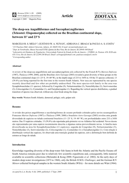 Zootaxa, the Deep-Sea Anguilliformes and Saccopharyngiformes