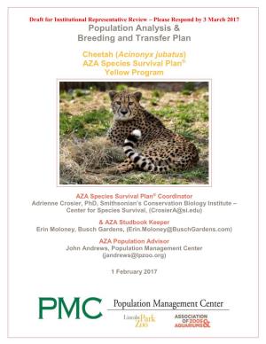 Population Analysis & Breeding and Transfer Plan Cheetah