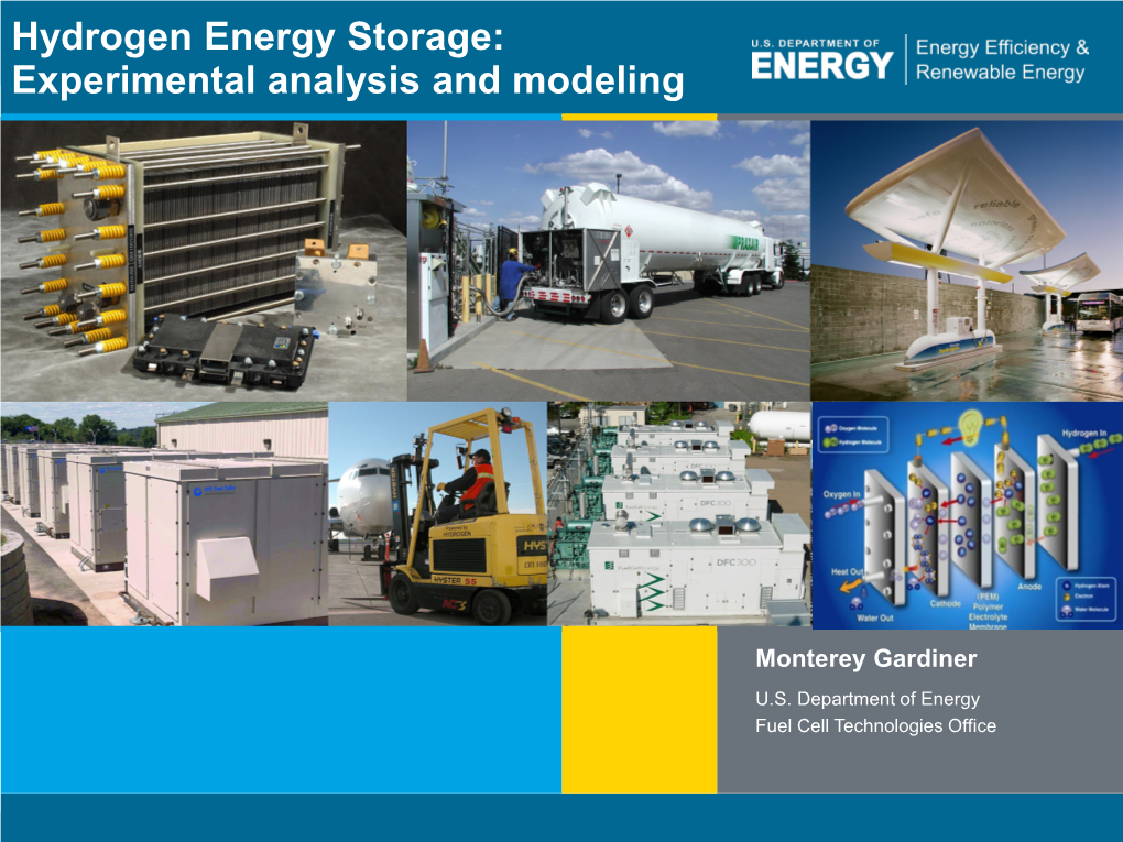 Hydrogen Energy Storage: Experimental Analysis and Modeling