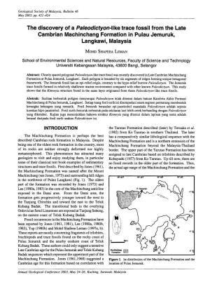 The Discovery of a Paleodictyon-Like Trace Fossil from the Late Cambrian Machinchang Formation in Pulau Jemuruk, Langkawi, Malaysia