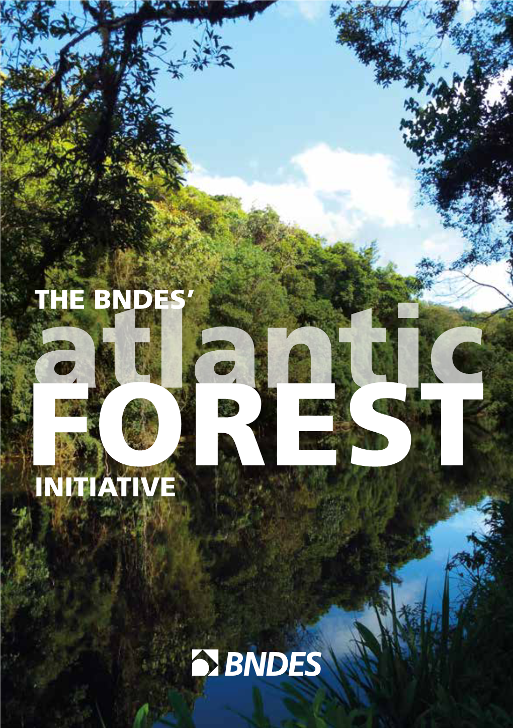 The Bndes' Initiative