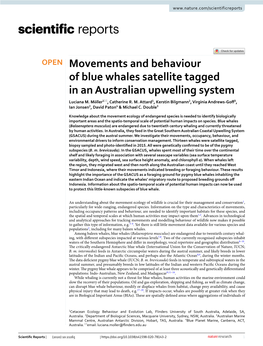 Movements and Behaviour of Blue Whales Satellite Tagged in an Australian Upwelling System Luciana M