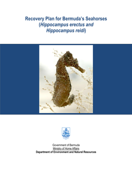 Recovery Plan for Bermuda's Seahorses (Hippocampus Erectus