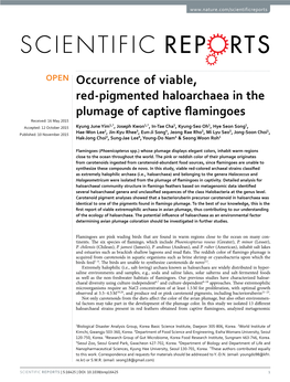 Occurrence of Viable, Red-Pigmented Haloarchaea in the Plumage Of