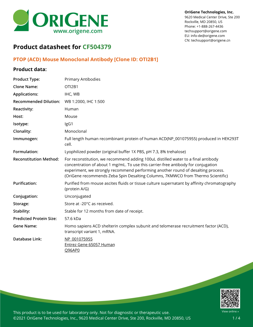 PTOP (ACD) Mouse Monoclonal Antibody [Clone ID: OTI2B1] Product Data