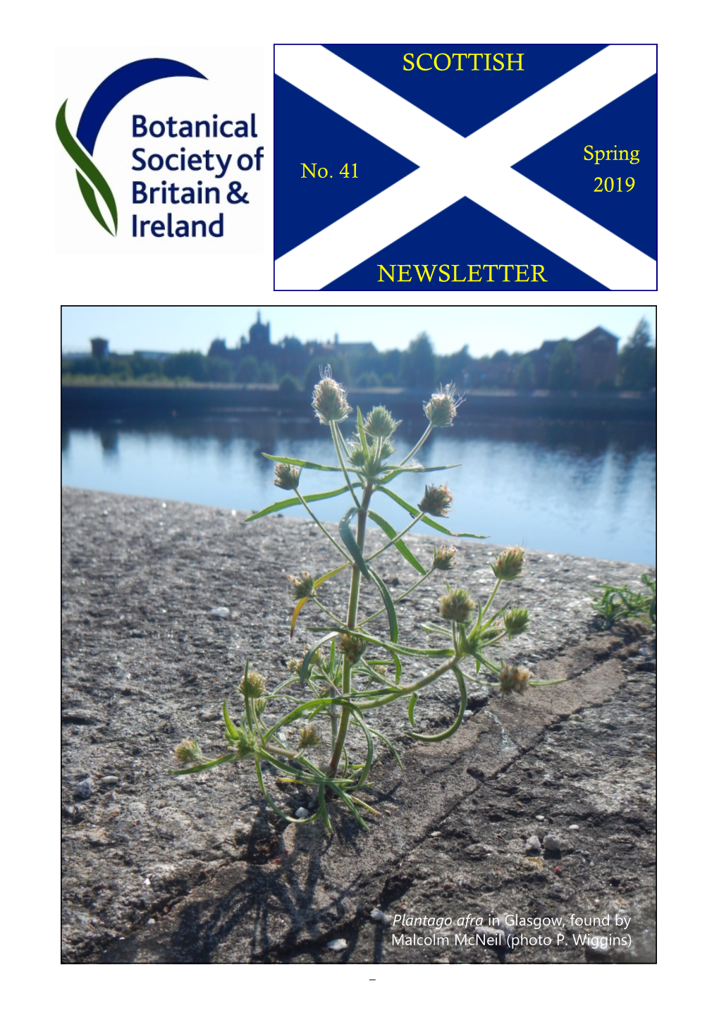 Scottish Newsletter