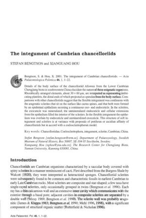The Integument of Cambrian Chancelloriids