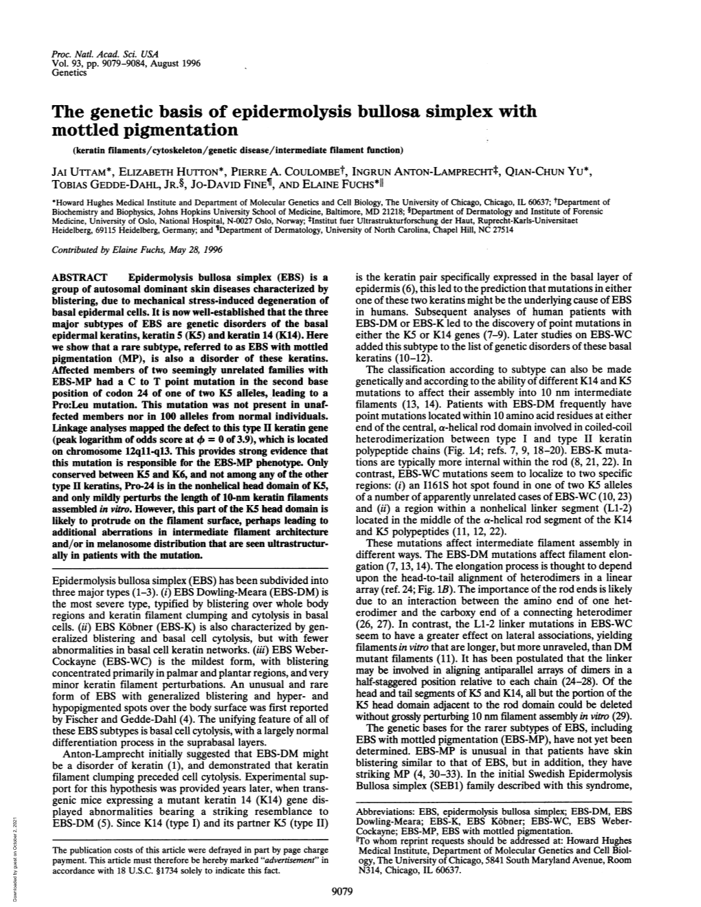 The Genetic Basis of Epidermolysis Bullosa Simplex with Mottled Pigmentation