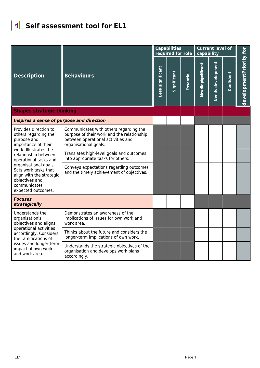 Integrated Leadership Strategy: Outline