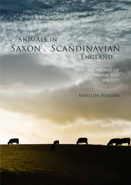 Saxon Scandinavian