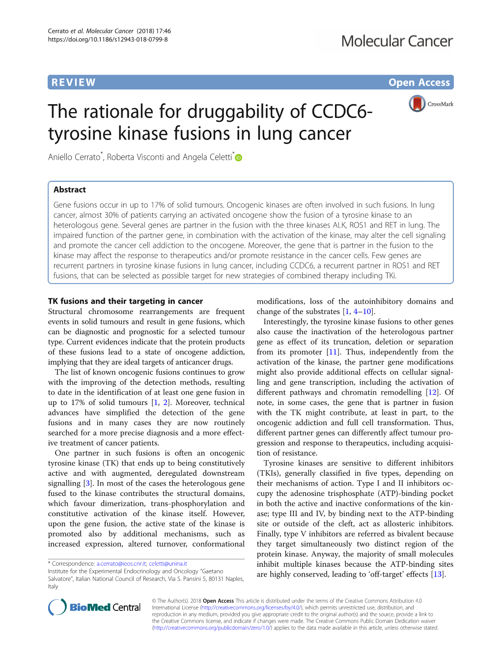 The Rationale for Druggability of CCDC6-Tyrosine Kinase Fusions In