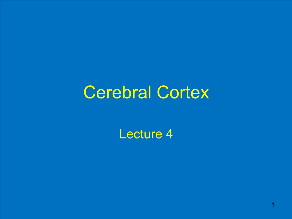 Functional Specialization 2: Forebrain and Cerebral Cortex