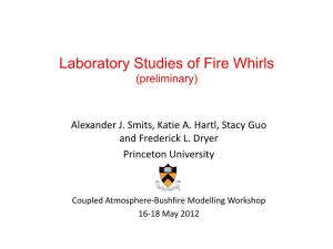 Laboratory Studies of Fire Whirls (Preliminary)