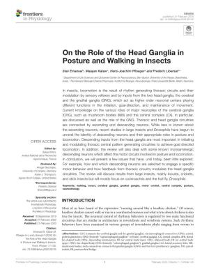 On the Role of the Head Ganglia in Posture and Walking in Insects