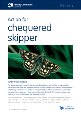 Action for the Chequered Skipper Butterfly