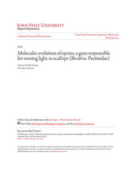 Molecular Evolution of Opsins, a Gene Responsible for Sensing Light, in Scallops (Bivalvia: Pectinidae) Anita J
