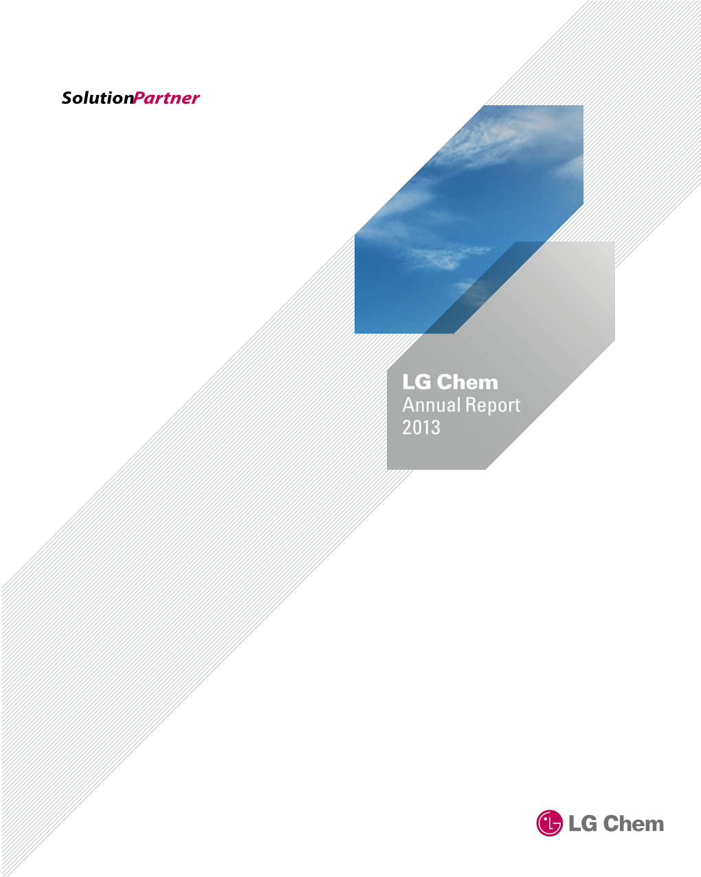 LG Chem Annual Report 2013