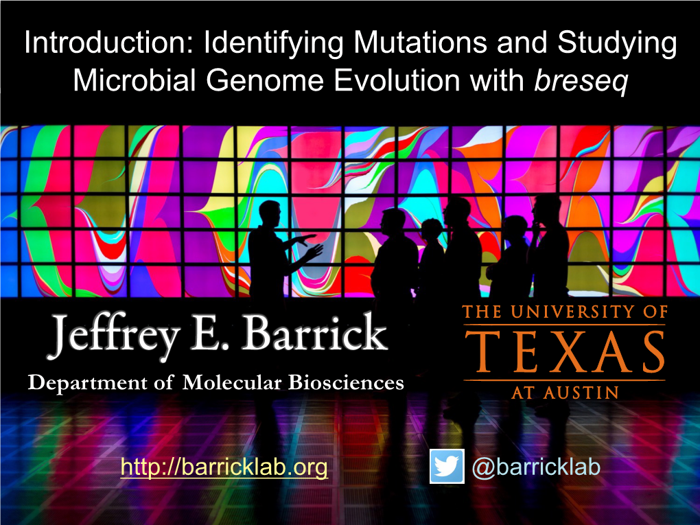 Breseq When Reproduced in Color the Wordmark Should Always Appear in the University of Texas at Austin's Signature Color, Burnt Orange (PMS 159)