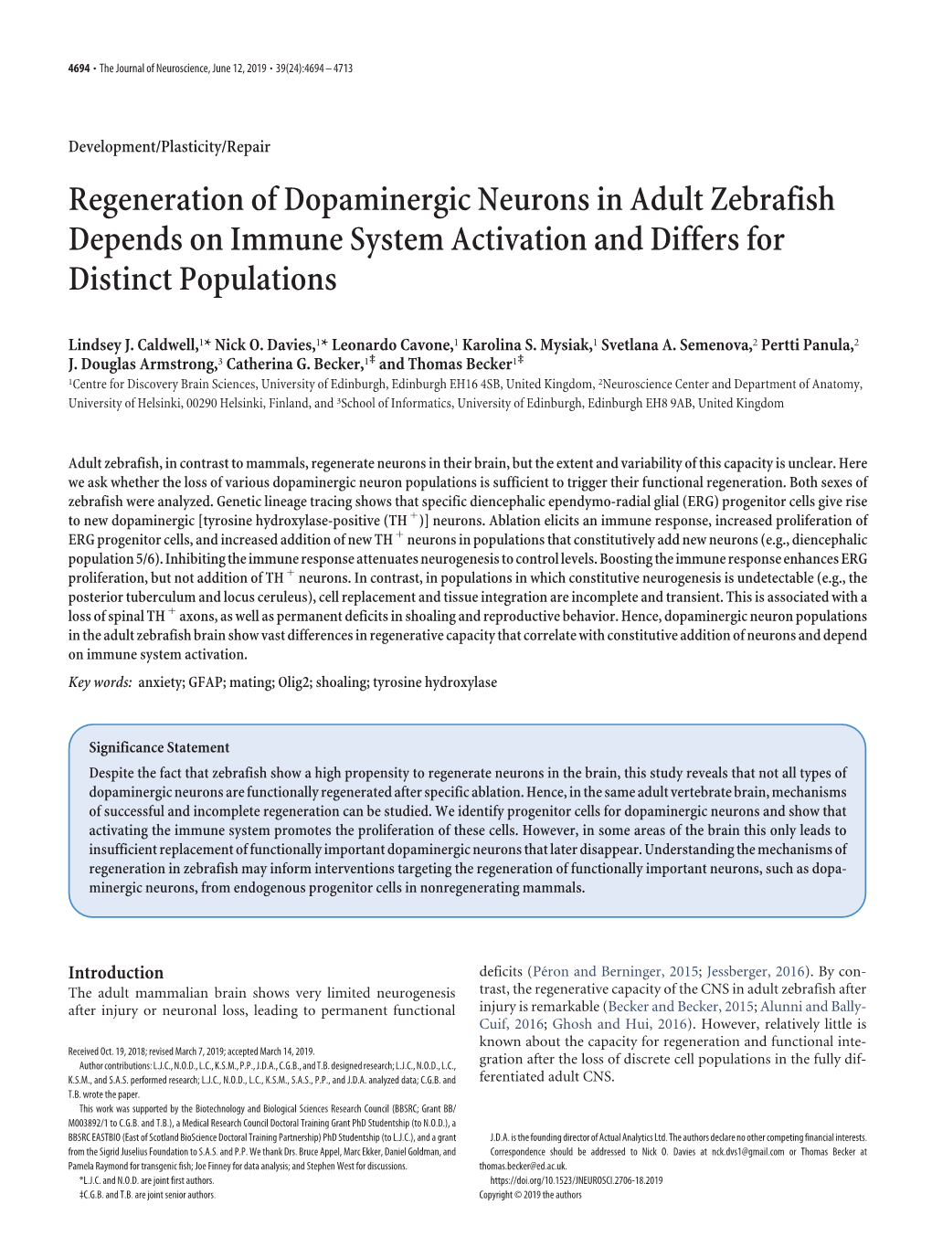 Regeneration of Dopaminergic Neurons in Adult Zebrafish Depends on Immune System Activation and Differs for Distinct Populations