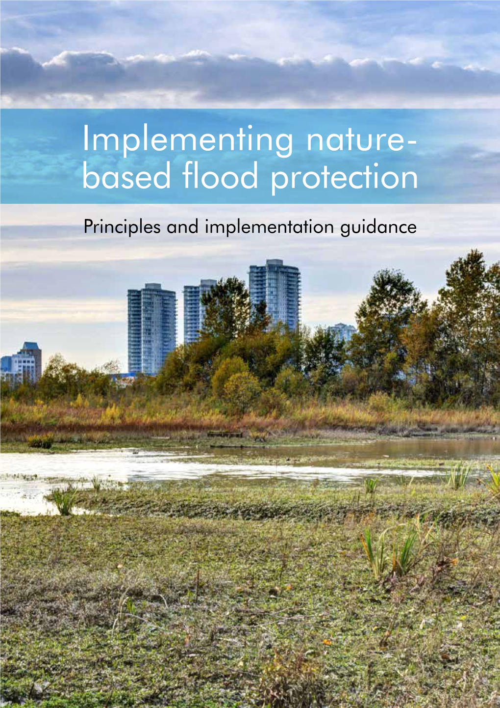 Implementing Nature- Based Flood Protection