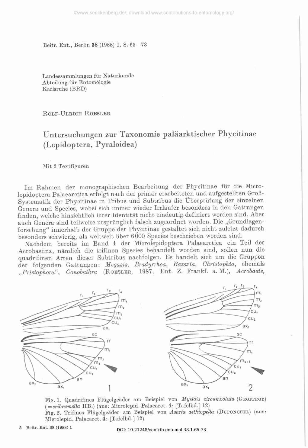 Lepidoptera, Pyraloidea)