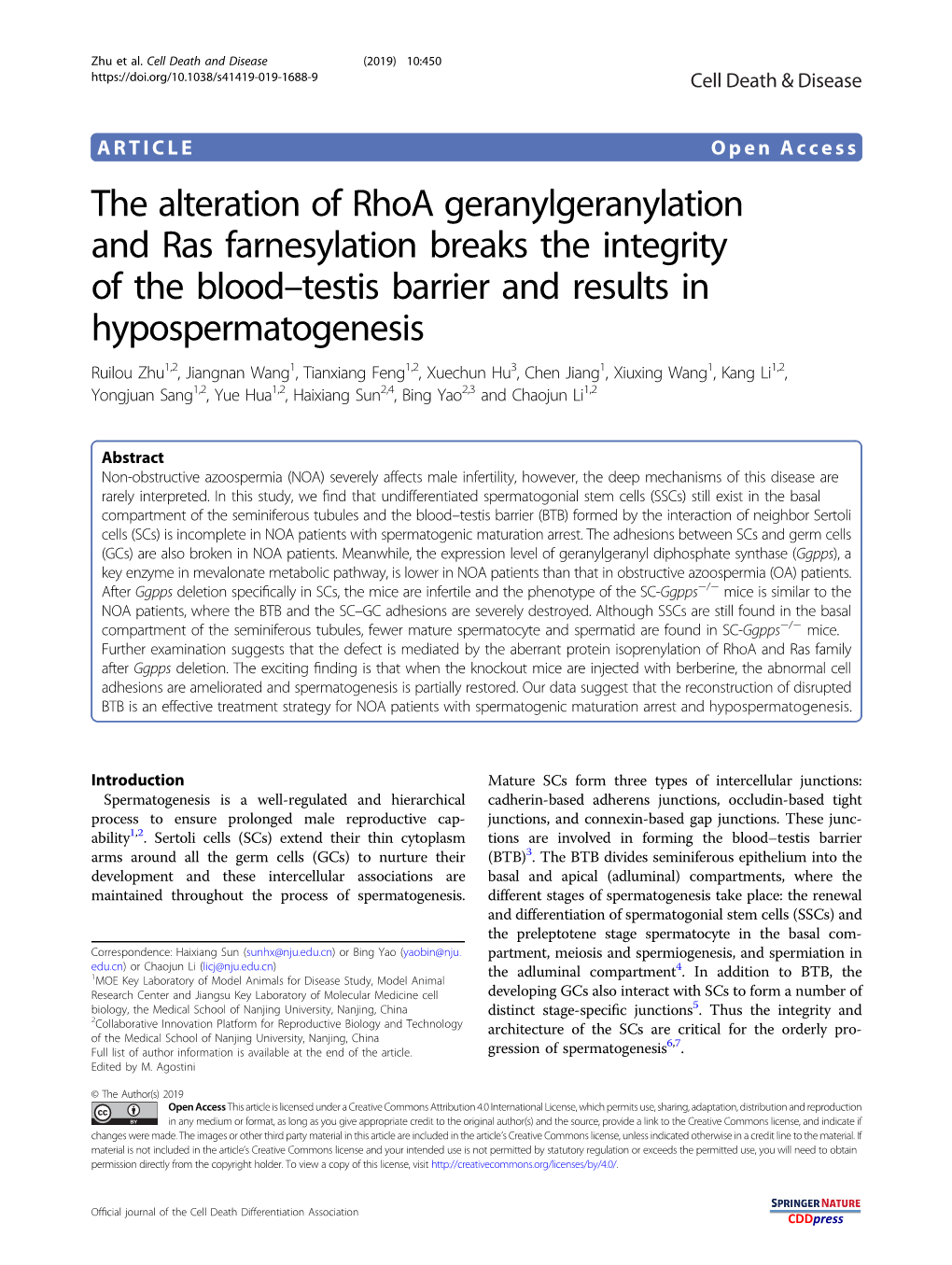 The Alteration of Rhoa Geranylgeranylation and Ras Farnesylation Breaks the Integrity of the Blood–Testis Barrier and Results