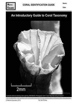 An Introductory Guide to Coral Taxonomy