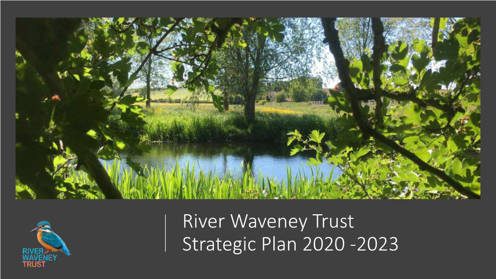 River Waveney Trust Strategic Plan 2020 -2023 Introduction