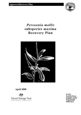 Persoonia Mollis Subspecies Maxima Recovery Plan (PDF